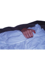 Kastanjedyne, voksen - Bilde 2