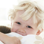 Kastanjedyne, voksen